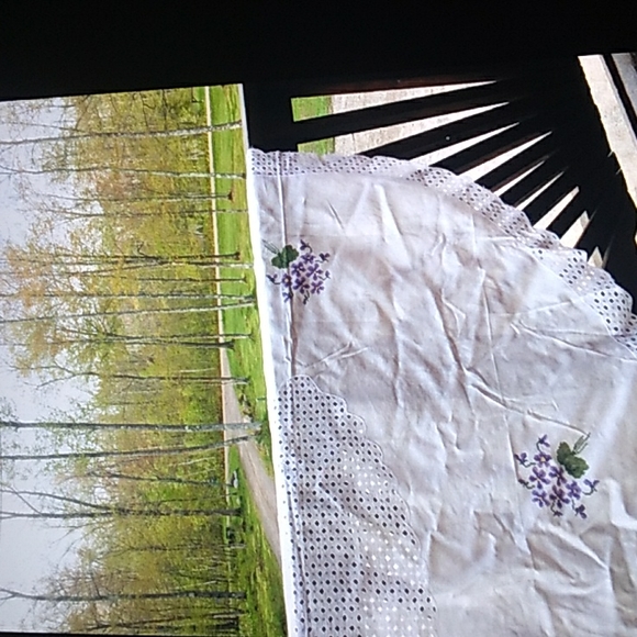 ⚜️Gauze Blue Roses on Tobacco Brown Dress  Sz  LG - Picture 12 of 15